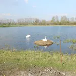 Le Cèdre Cambron