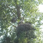 Appartamento Le Cèdre Cambron