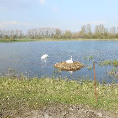 Le Cedre Cambron